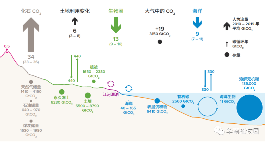 全国首个跨省共建蓝碳生态碳账户发布