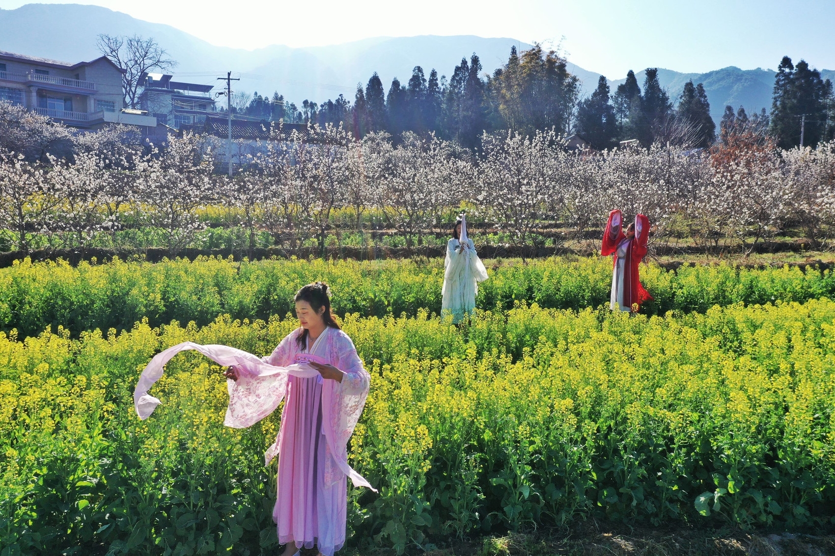 财经·观察丨“赏花经济”带动文旅市场春潮涌动