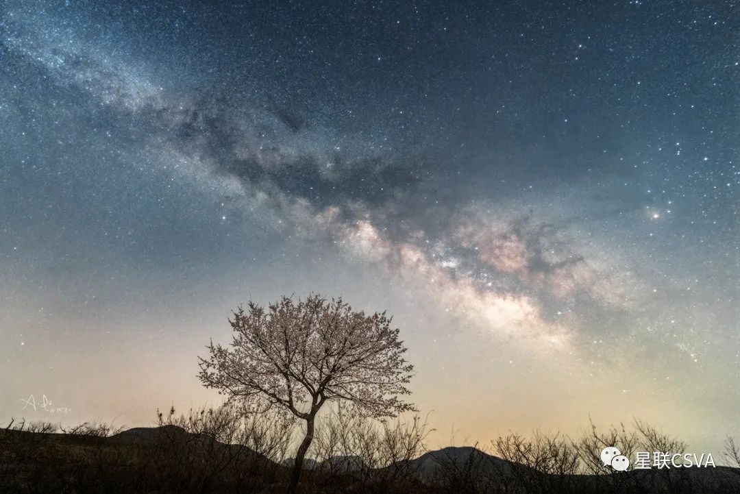 花语星空：一场星与花的对话