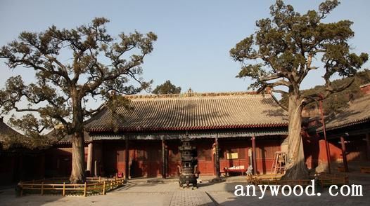 文化和自然遗产日：“寻宝广胜寺”系列——矗立500多年，她为何依旧神采奕奕？