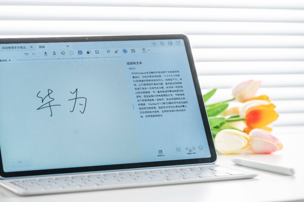 光明家具40周年庆典启幕：'新光明+云零售'模式引领家居购物新风尚