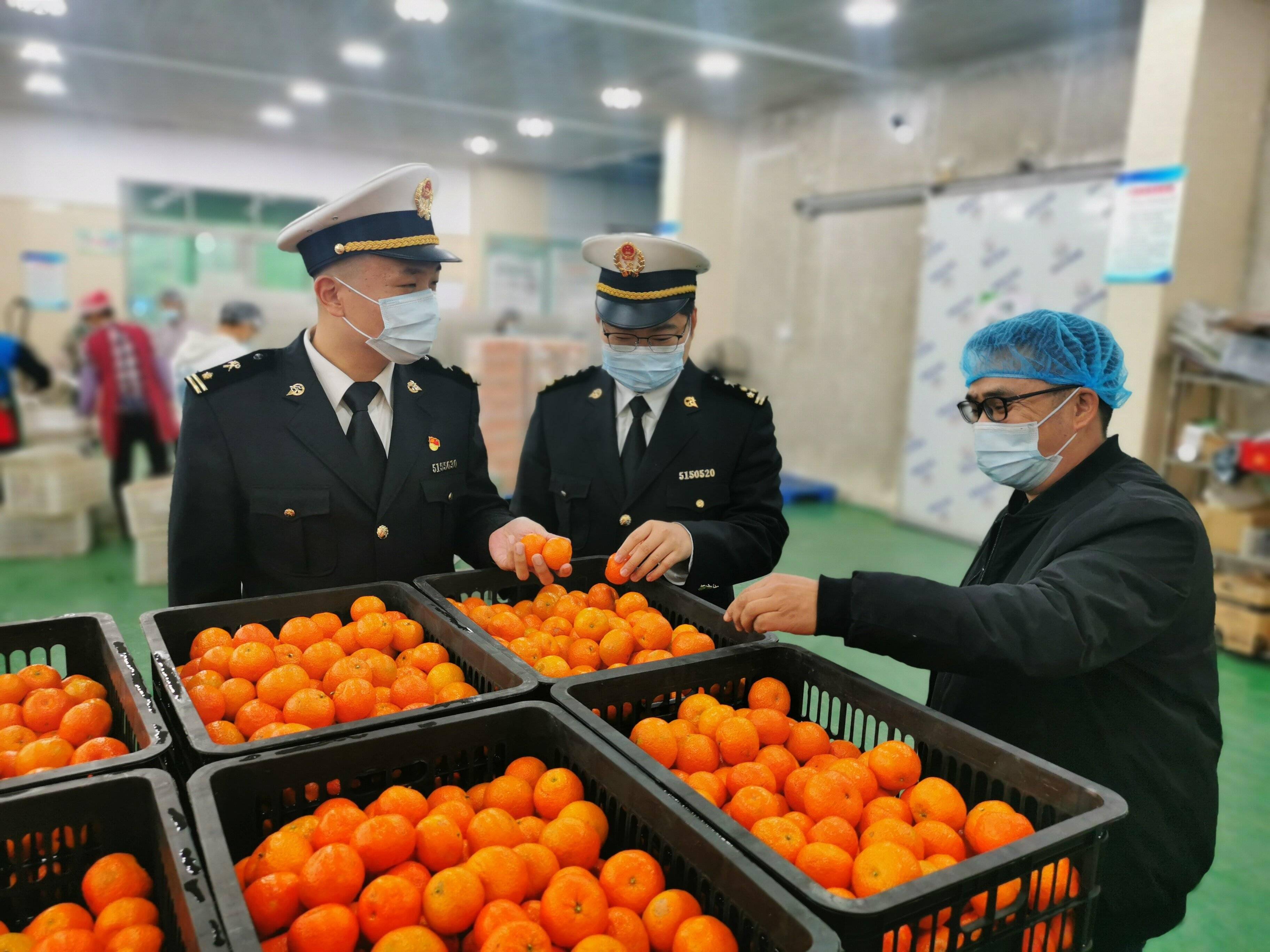 辽宁水果走出国门热销东南亚